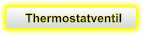Thermostatventil