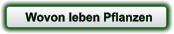 Wovon leben Pflanzen