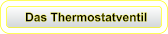 Das Thermostatventil